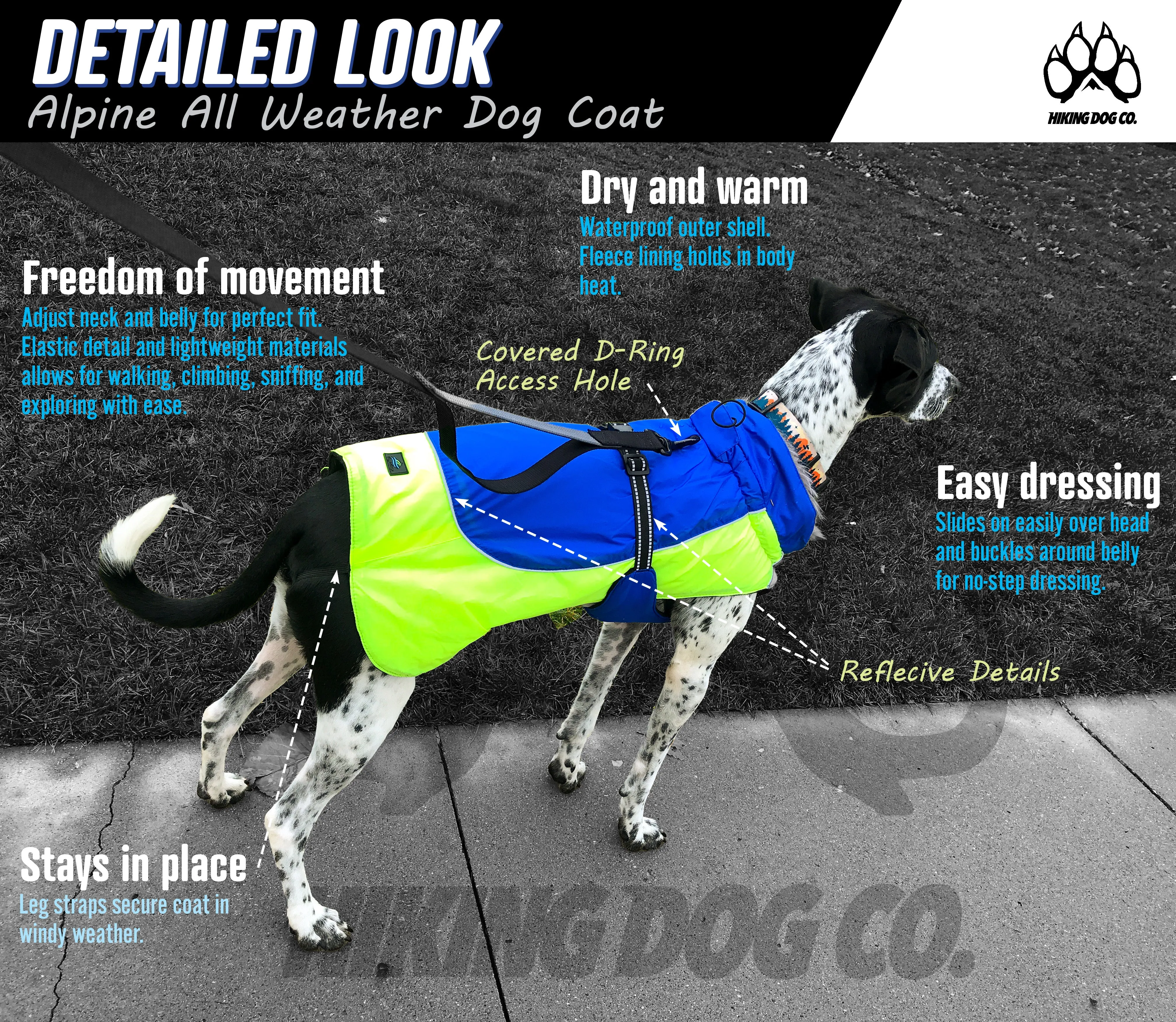 Alpine All-Weather Coat for Dogs