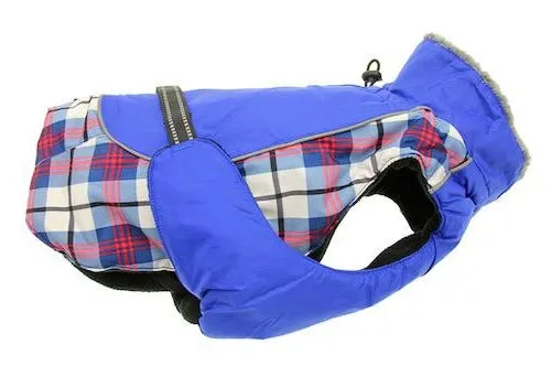 Alpine All-Weather Coat for Dogs