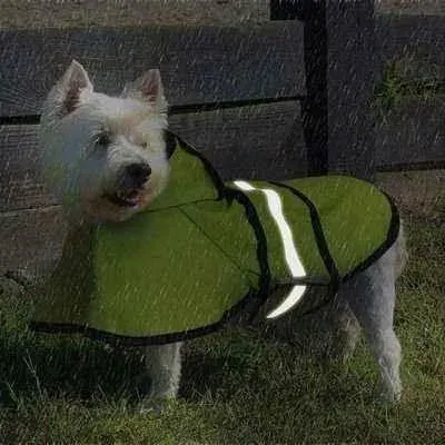 Pawsome Pets Reflective Raincoat 🐾