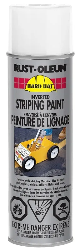 Striping Paint, White 510G